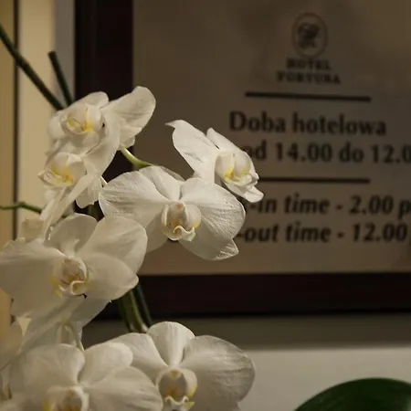 Fortuna Hotel Cracovia