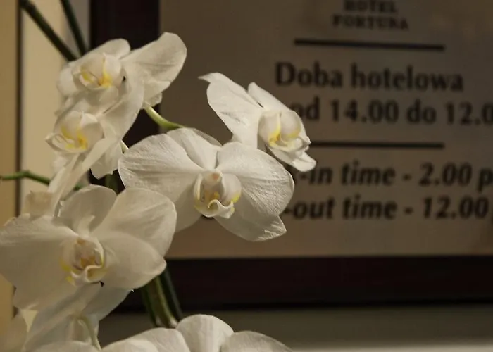 Fortuna Otel Krakow